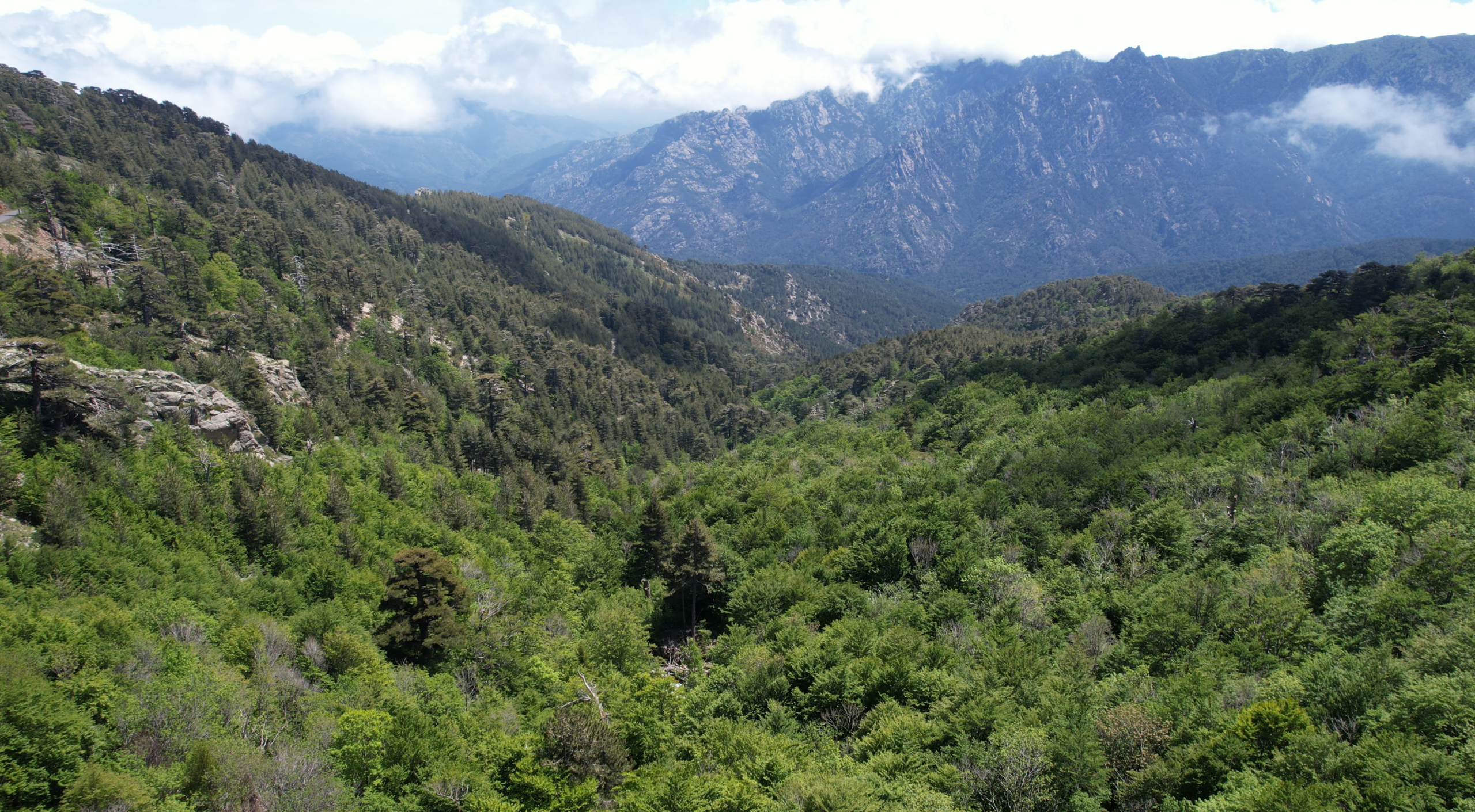 Tournage émission spéciale Via Stella GR20 refuge U Fugone Ghisoni — OPV drone Visualta France 3 Corse